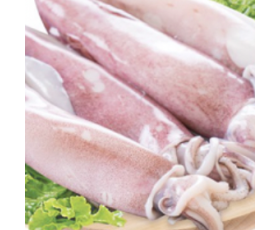 MỰC TƯƠI NGON - Yến