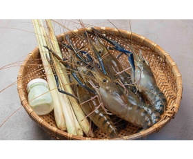 Tôm càng sen - Thanh Lời